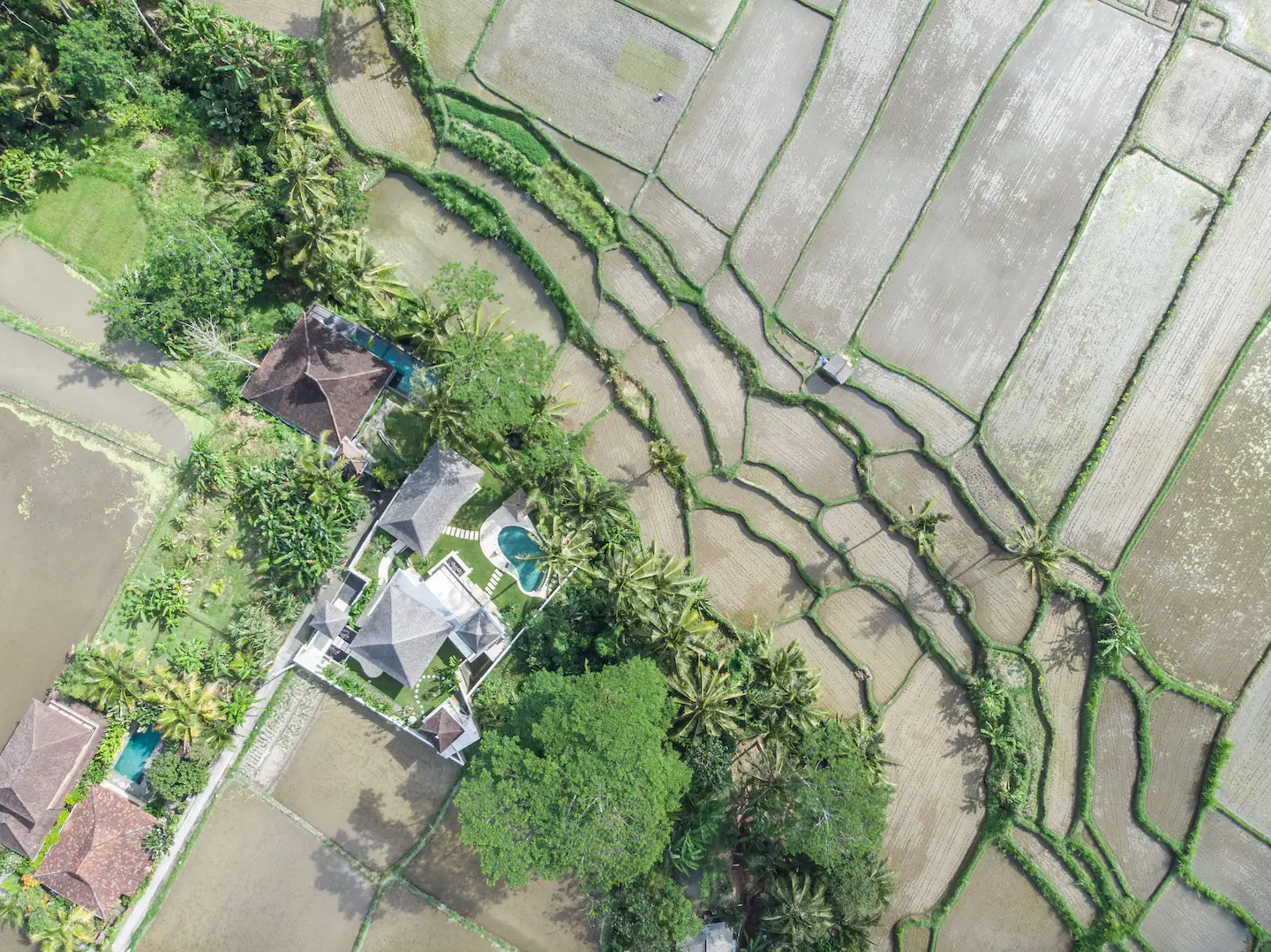 Green Zone Bali: A Government Alert Every Property Investor Needs to Read